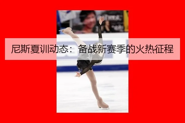 尼斯夏训动态：备战新赛季的火热征程