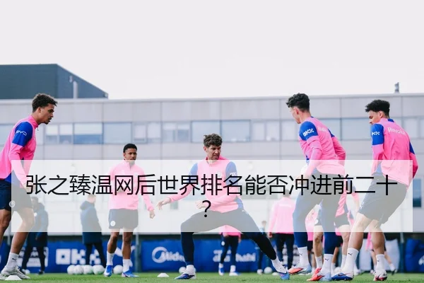 张之臻温网后世界排名能否冲进前二十？